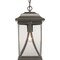Progress Lighting Abbott Collection One-Light Hanging Lantern P550040-020 - alternate 1
